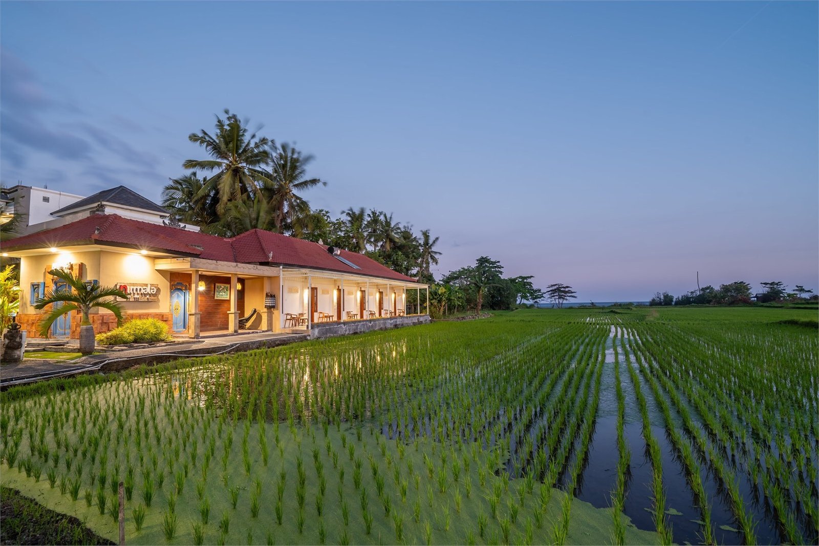 Outside view of garden and accomodation provided by Bali Vinyasa Yoga School