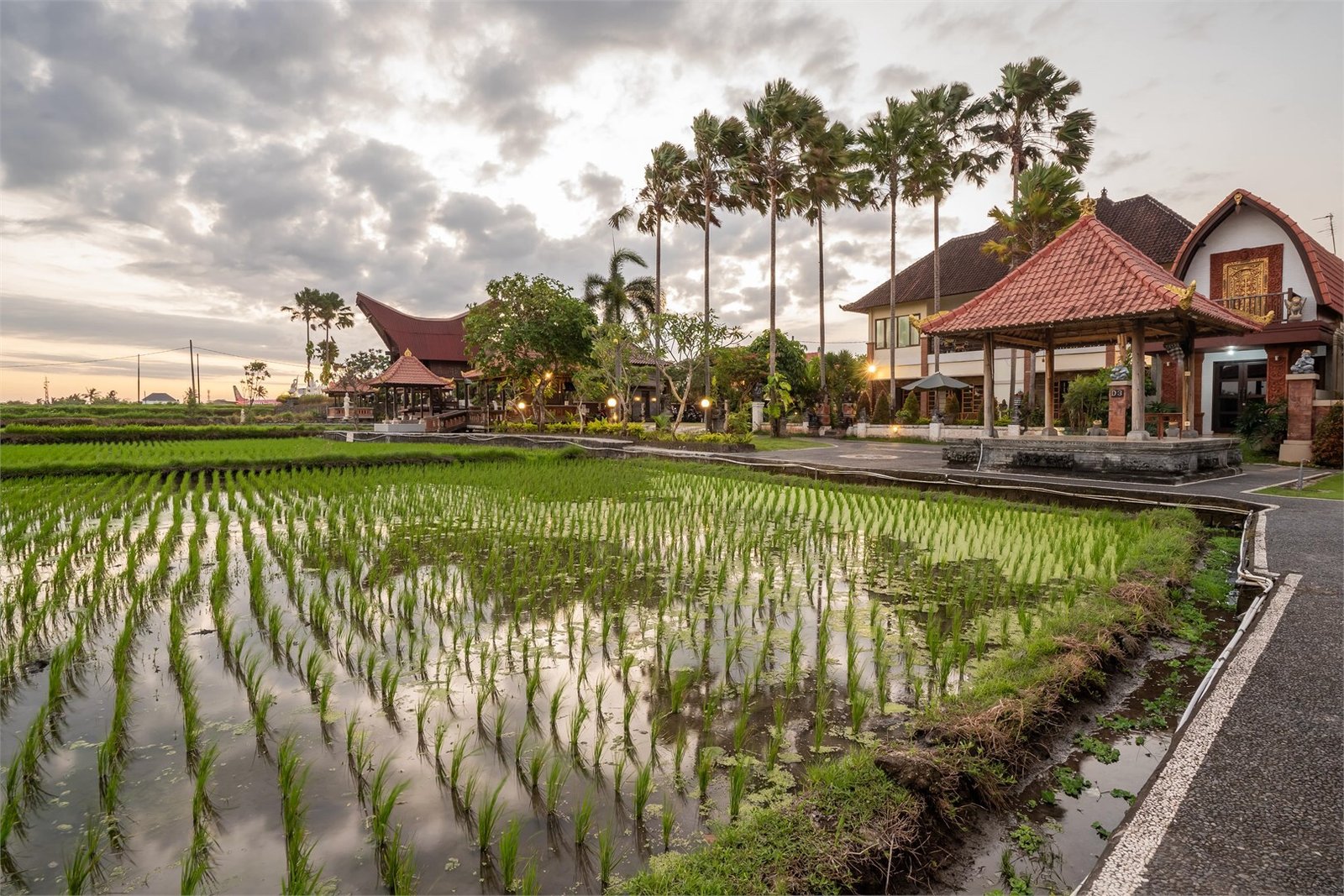 Outside view of garden for yoga teacher training in bali