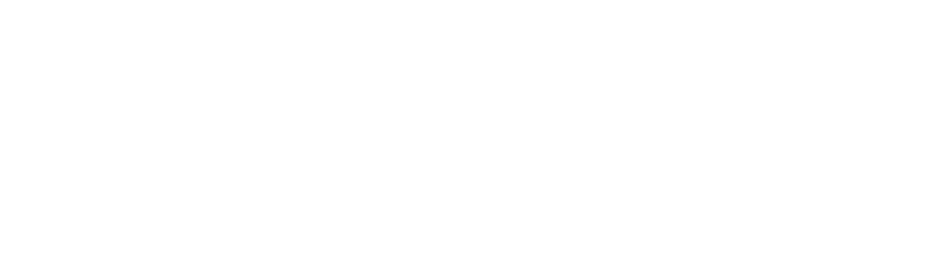 bali-vinyasa-yoga-school-logo